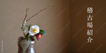 季節のお花の写真